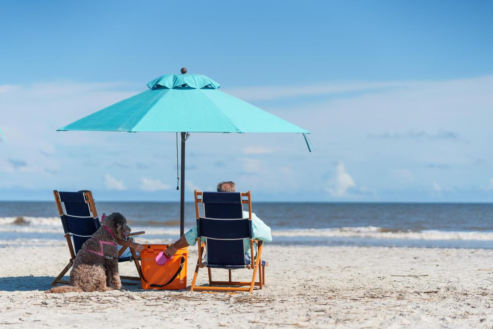 Willa 412 Tarpon Blvd Fripp Island Zewnętrze zdjęcie